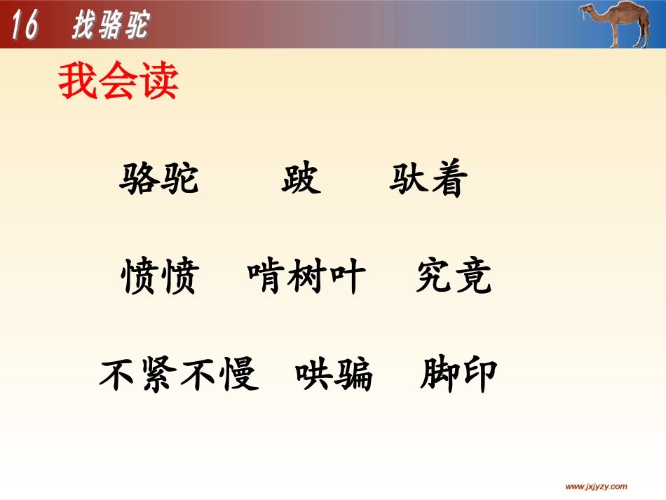 找骆驼教学课件lqy_第3页