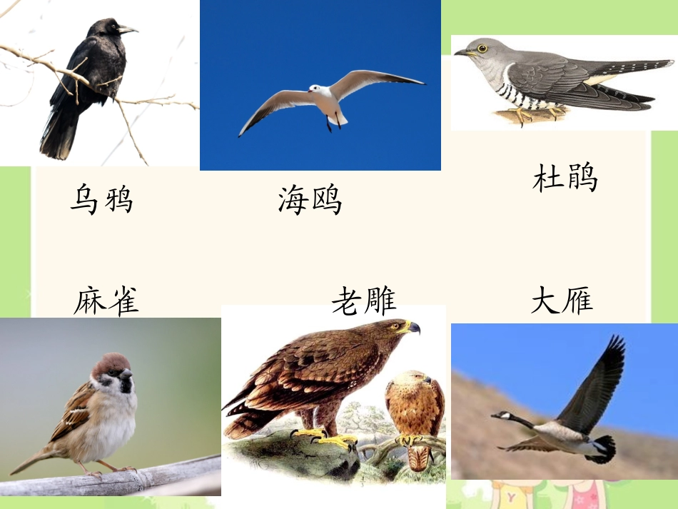 (苏教版)二年级语文下册课件_识字_第2页