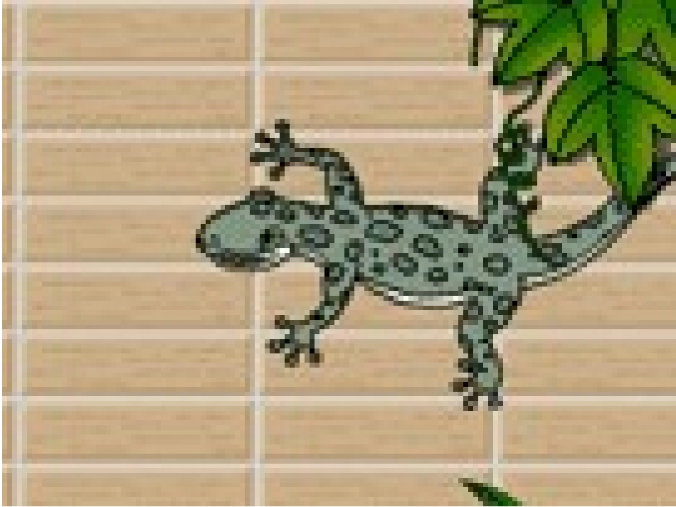 北师大版一年级上册语文《小壁虎借尾巴》课件_第1页