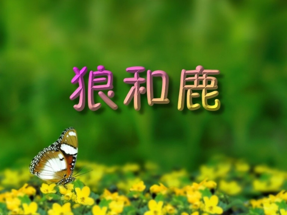 《狼和鹿》第一课时_第1页