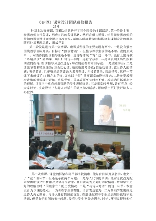 春望团队报告
