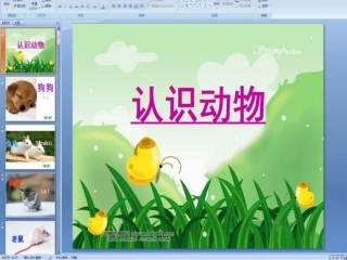 动物的手和脚