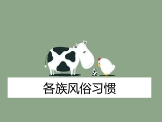 各族风俗习惯