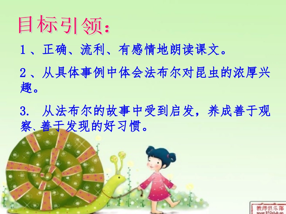 装满昆虫的口袋课件_第2页