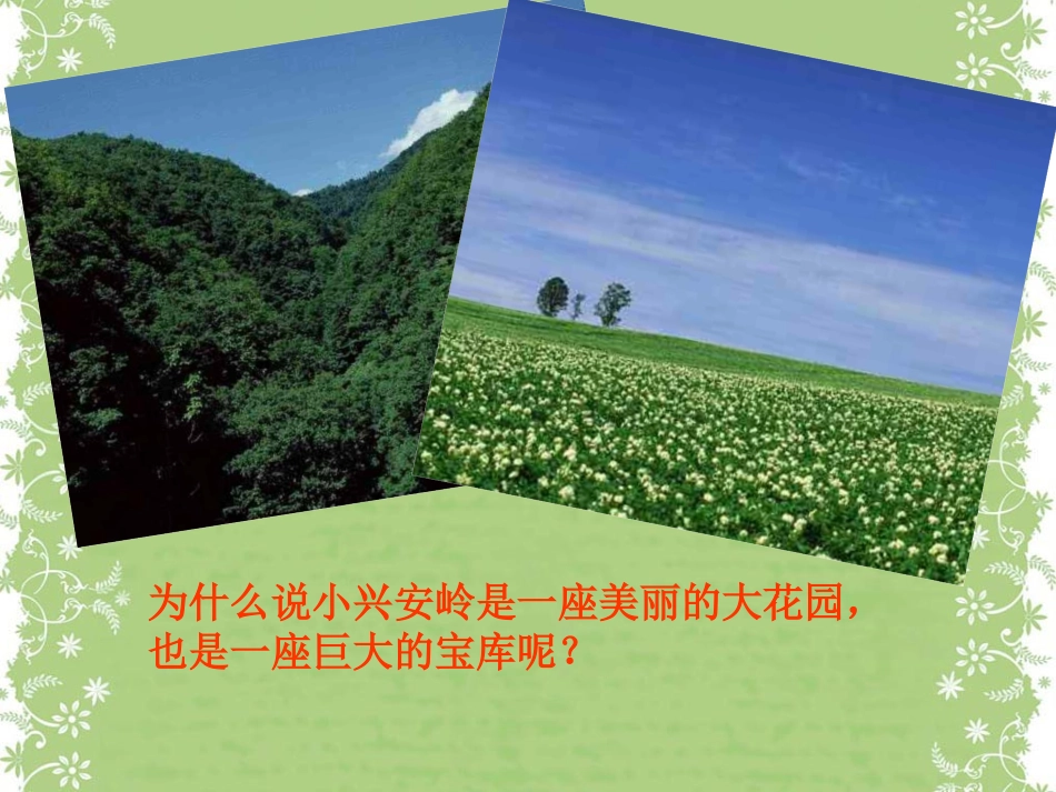 《美丽的小兴安岭》_第2页