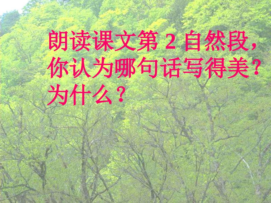《美丽的小兴安岭》_第3页