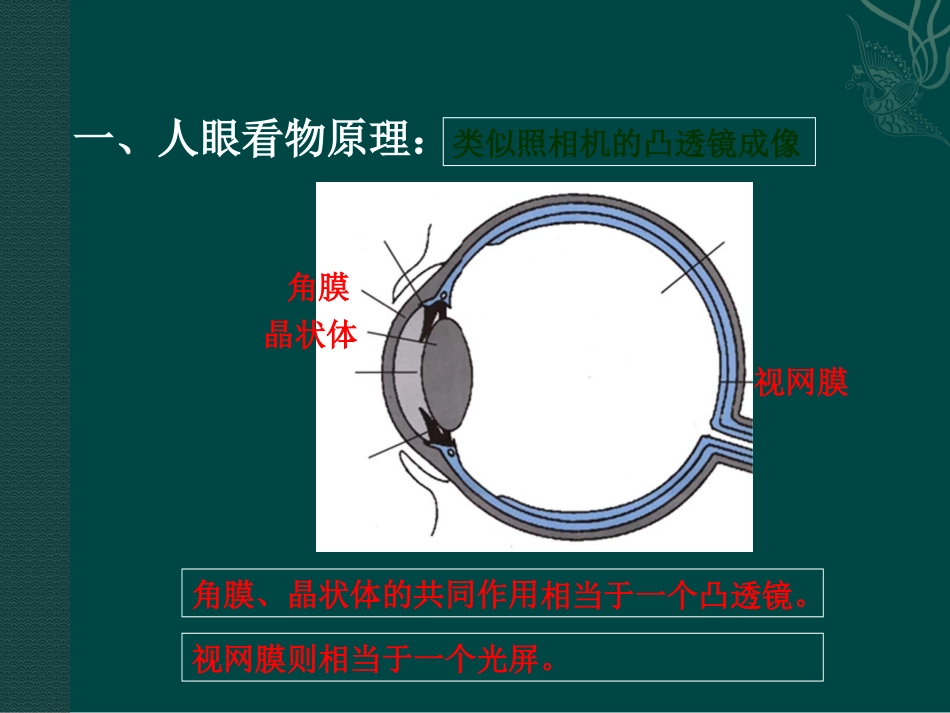 眼睛和眼镜课件_第2页