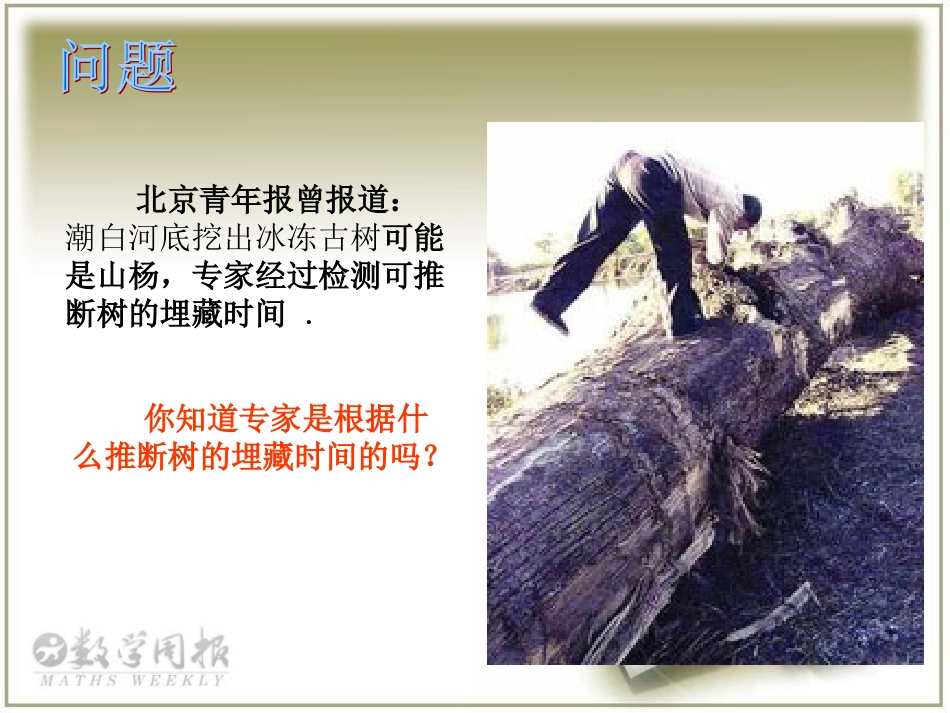 对数函数及其性质_第2页