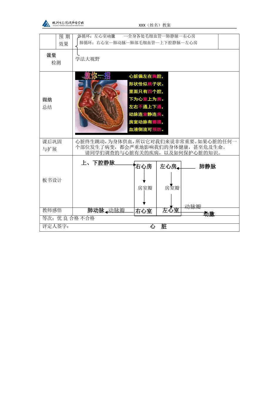 输送血液的泵-心脏_第2页
