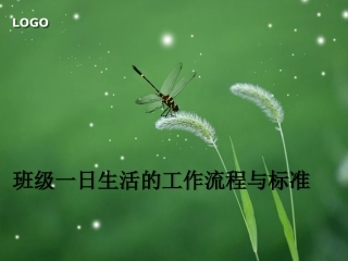 班级一日生活的工作流程与标准