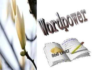 wordpower上课