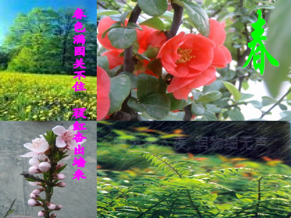 夏感优质课件_第1页
