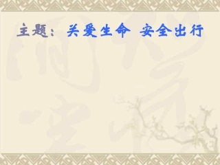 关爱生命安全出行