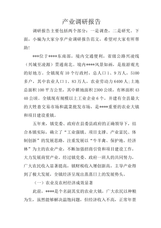 产业调研报告