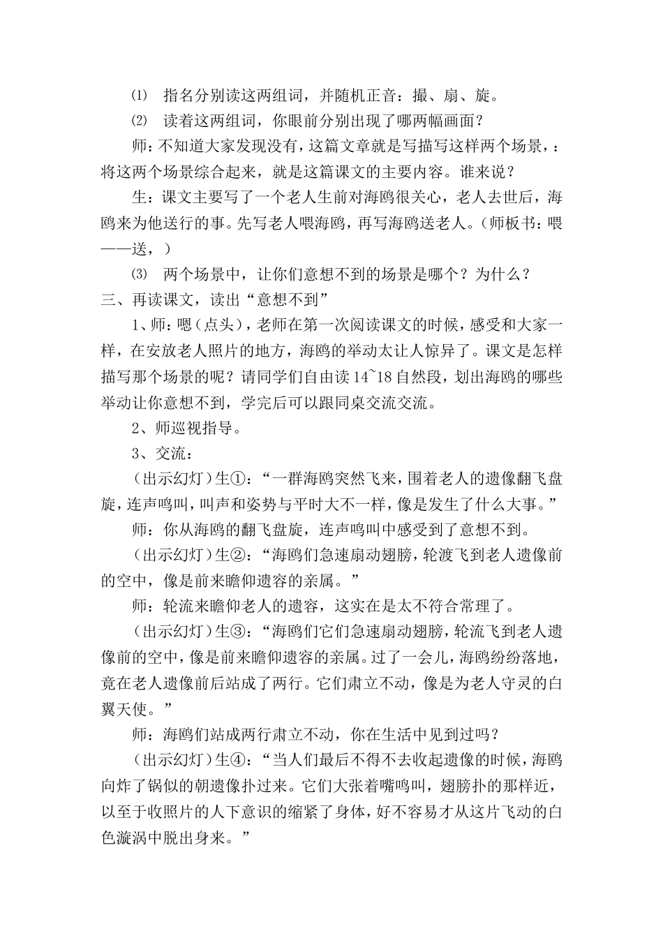 老人与海鸥教案_第2页