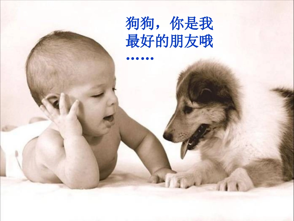 初一语文《安恩和奶牛》PPT课件_第1页