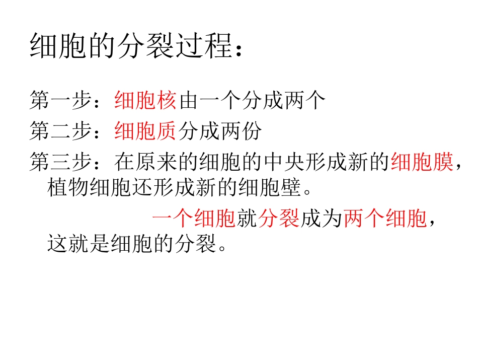 动物植物的结构层次_第2页