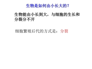 动物植物的结构层次