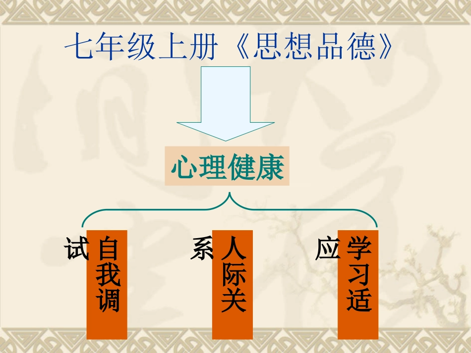 初中政治概述_第2页