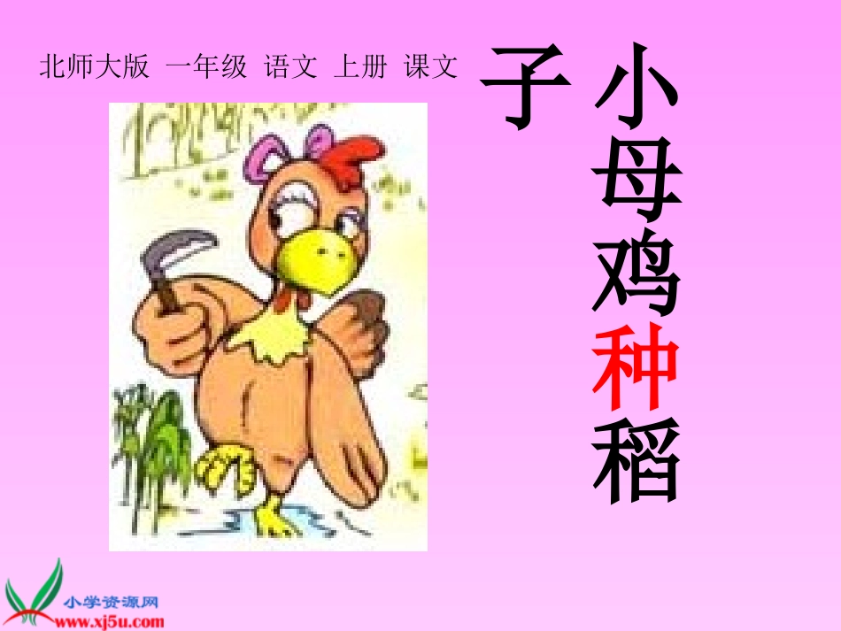 《小母鸡种稻子》课件_第1页