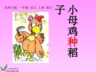 《小母鸡种稻子》课件