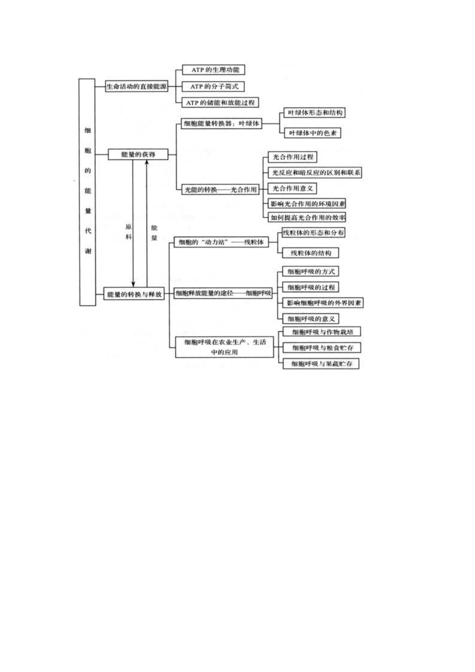 细胞的能量代谢知识结构图_第1页