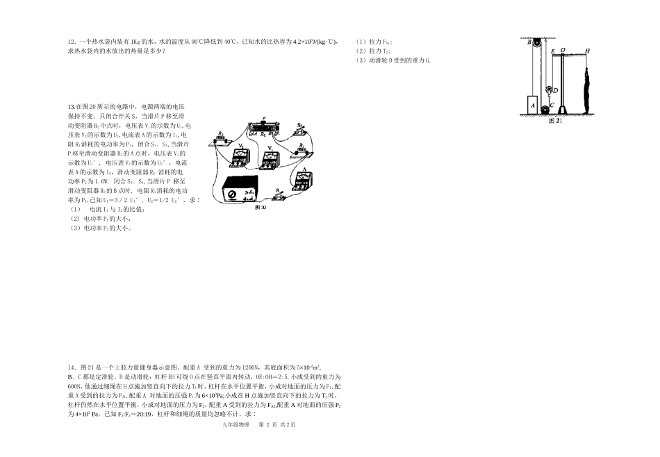 初三物理培优八_第2页