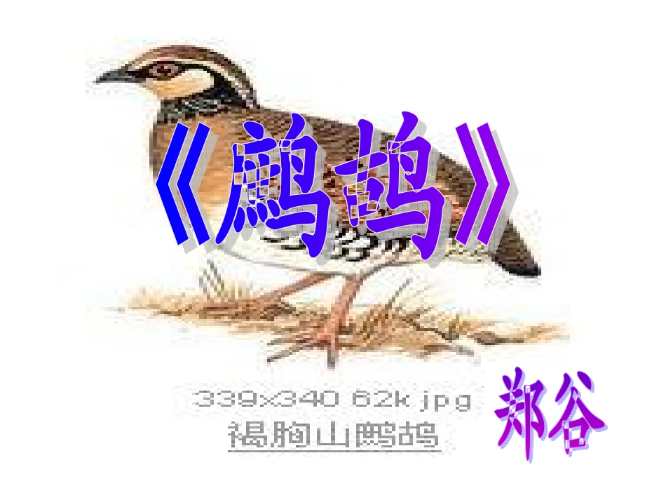 郑谷《鹧鸪》PPT课件_第1页