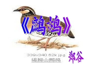 郑谷《鹧鸪》PPT课件