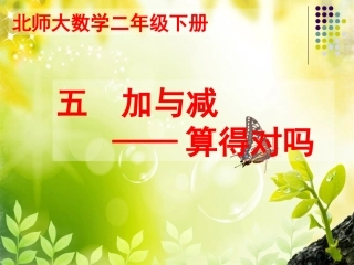 《算得对吗》教学课件