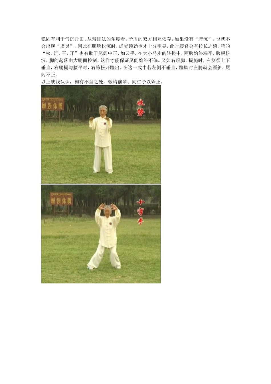 杨式太极拳胯的作用_第2页