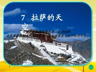 拉萨的天空第二课时(李娟)
