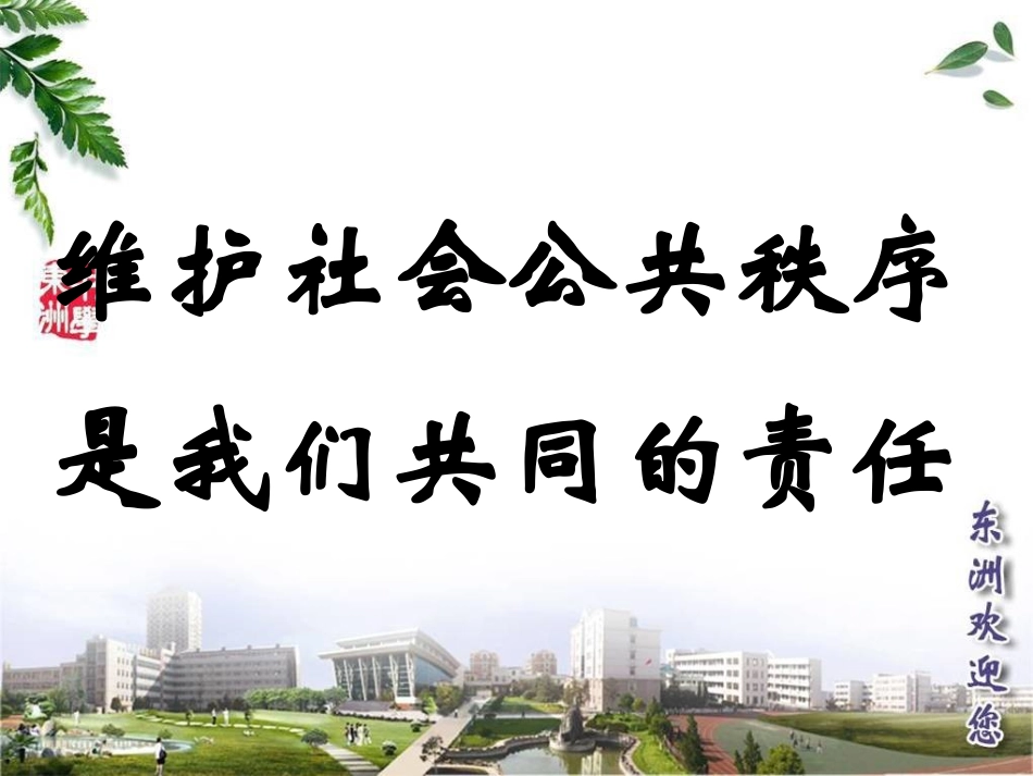维护社会公共秩序(新）_第3页