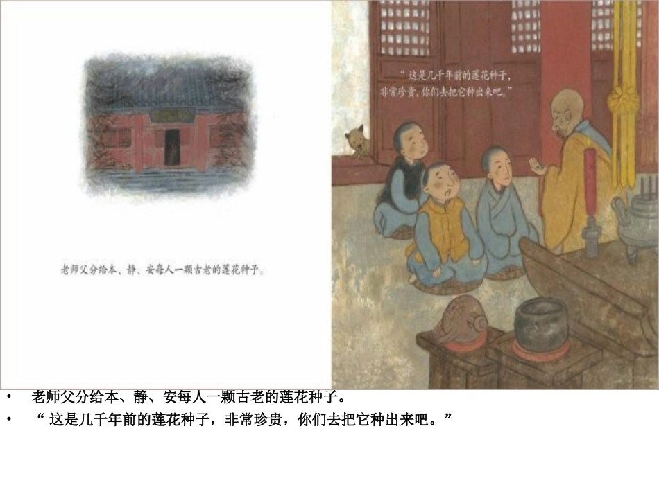 绘本《安的种子》_第2页