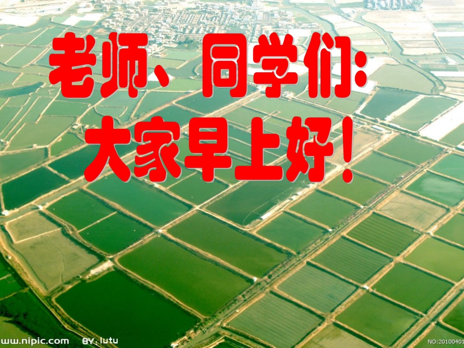 平行四边形复习课改_第1页