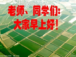 平行四边形复习课改