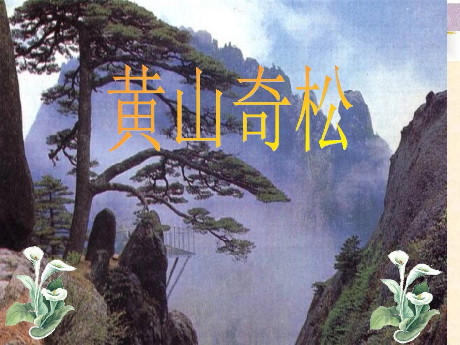 我的《黄山奇松》_第1页