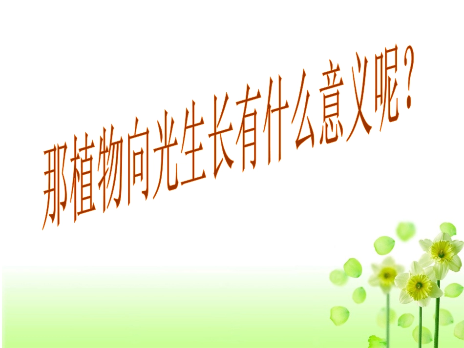 植物生长素的发现刘_第3页