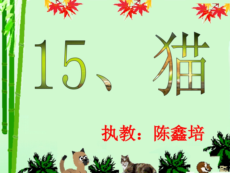 《猫》课件陵小陈鑫培_第2页
