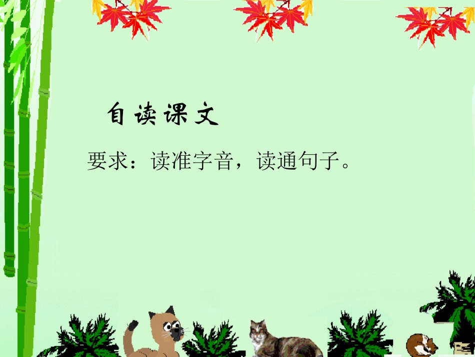 《猫》课件陵小陈鑫培_第3页