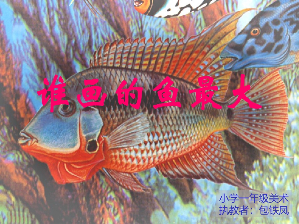 谁画的鱼最大_第1页