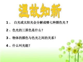 人眼看不见的光课件