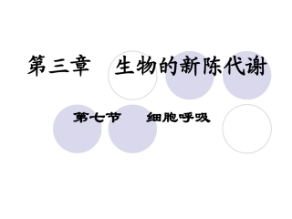 第七节细胞呼吸