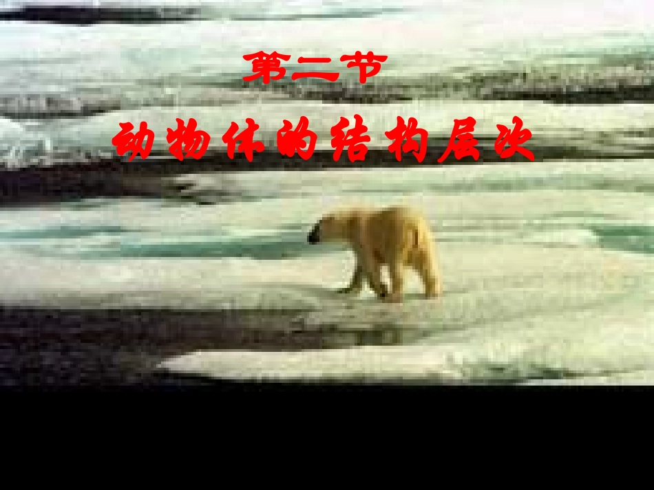 动物体的结构层次li_第1页