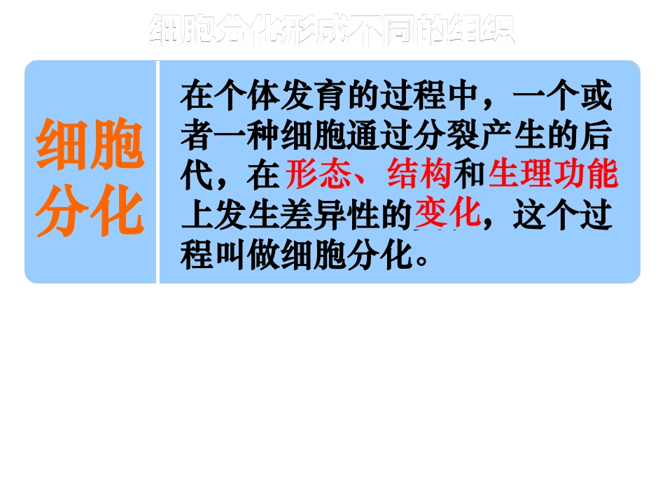 动物体的结构层次li_第3页