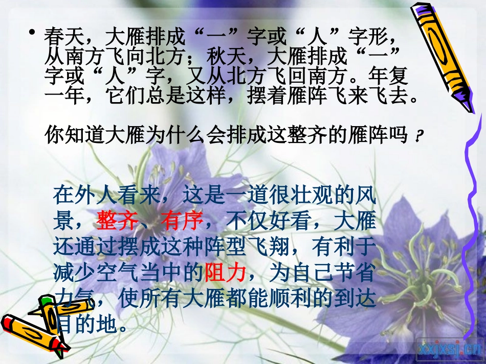 主题班会：纪律_第2页