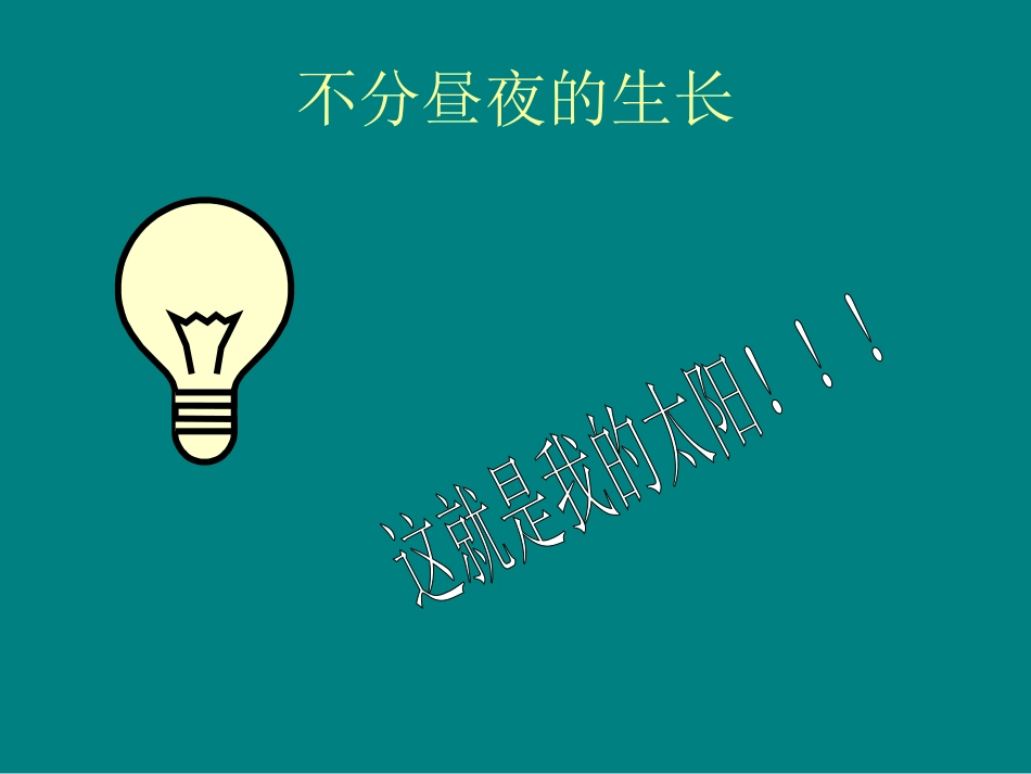 一根鸡大腿的前生今世_第3页