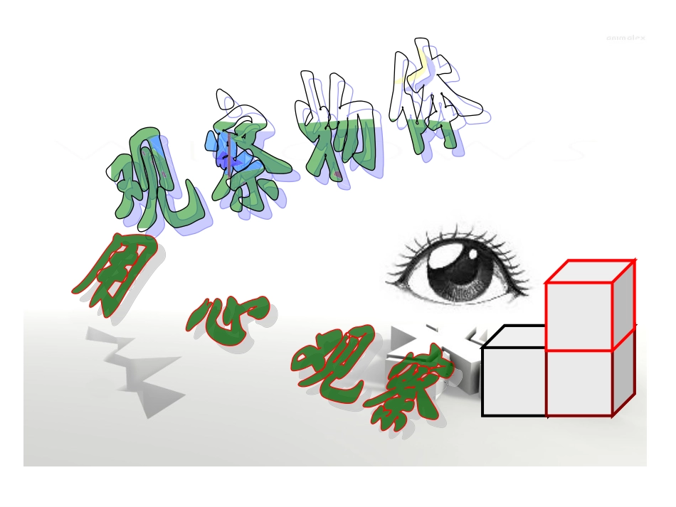 观察物体(三)_第1页