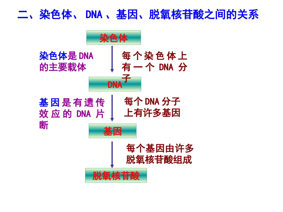 DNA是有遗传效应的DNA片段_第3页