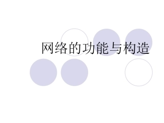 网络功能和构造